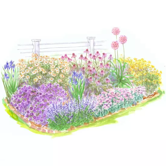  Beginner's Guide to Full Sun Gardens