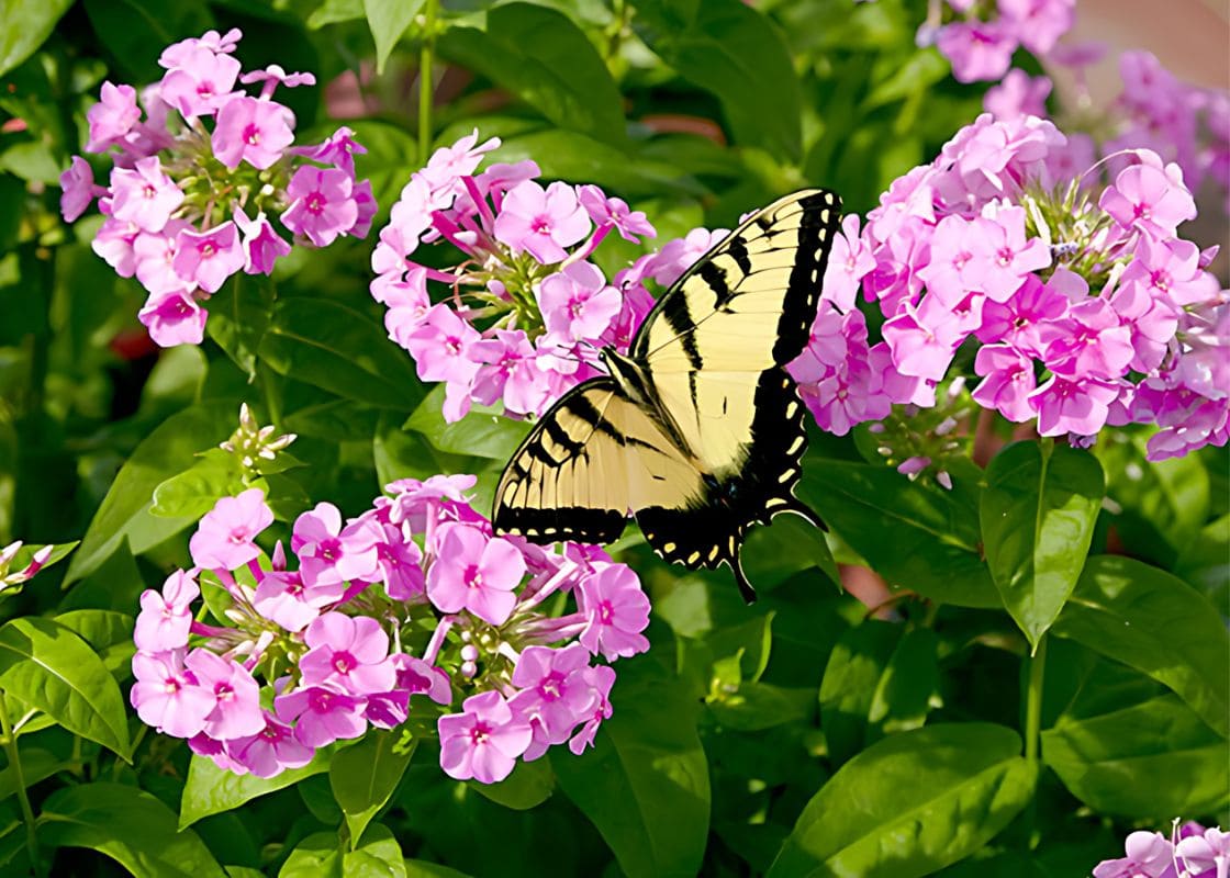 These 12 Butterfly-Magnet Plants Can Turn Your Garden Into A Wonderland