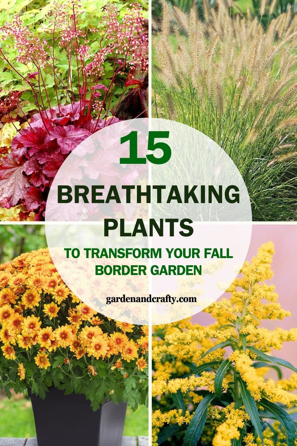 15 Breathtaking Plants to Transform Your Fall Border Garden