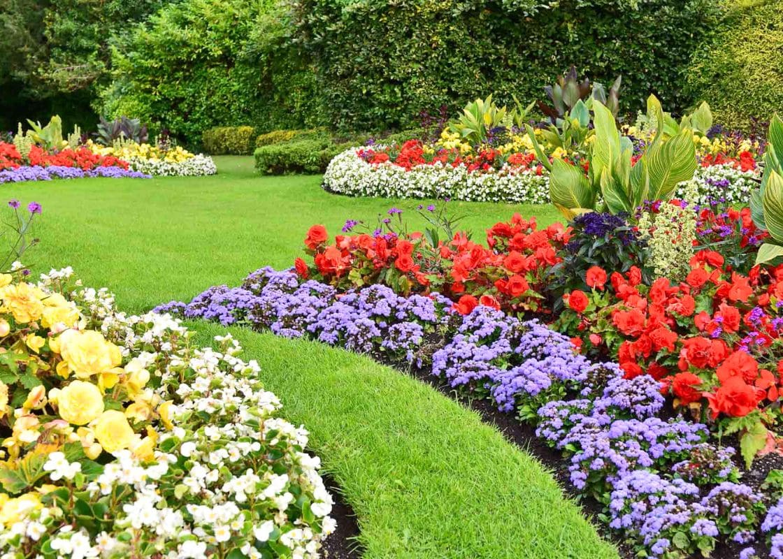 15 Stunning and Unique Exotic Flower Bed Ideas You Must Try