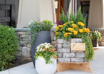 15 Inspiring DIY Plant Pot Ideas and Recycled Garden Planters