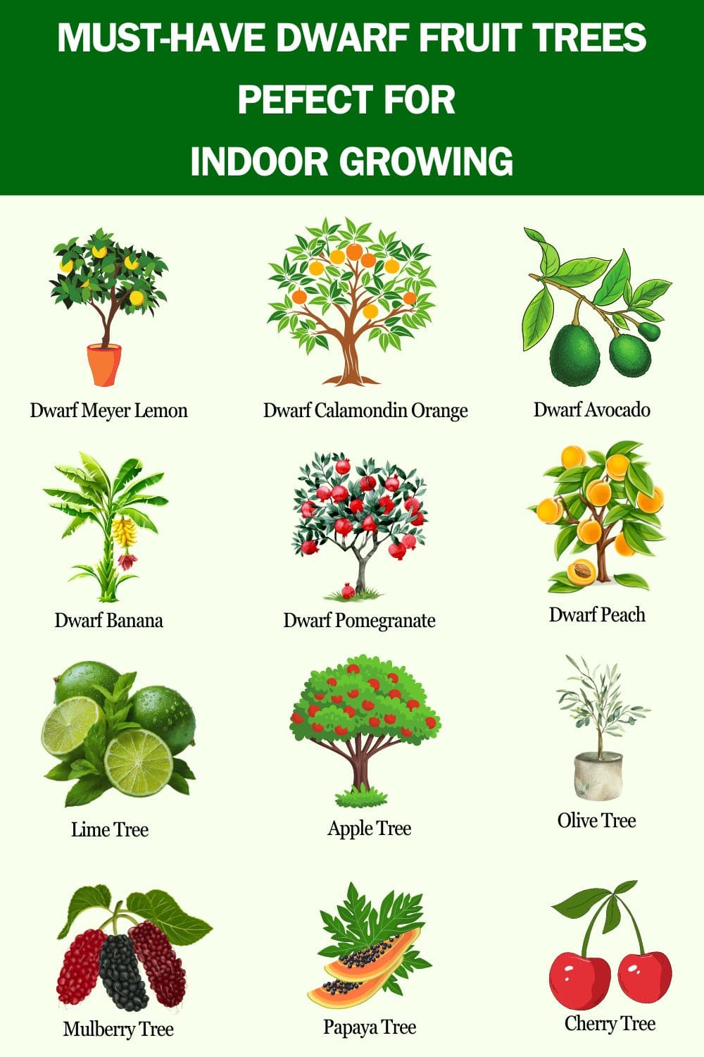 15 Must-Have Dwarf Fruit Trees Perfect for Indoor Growing