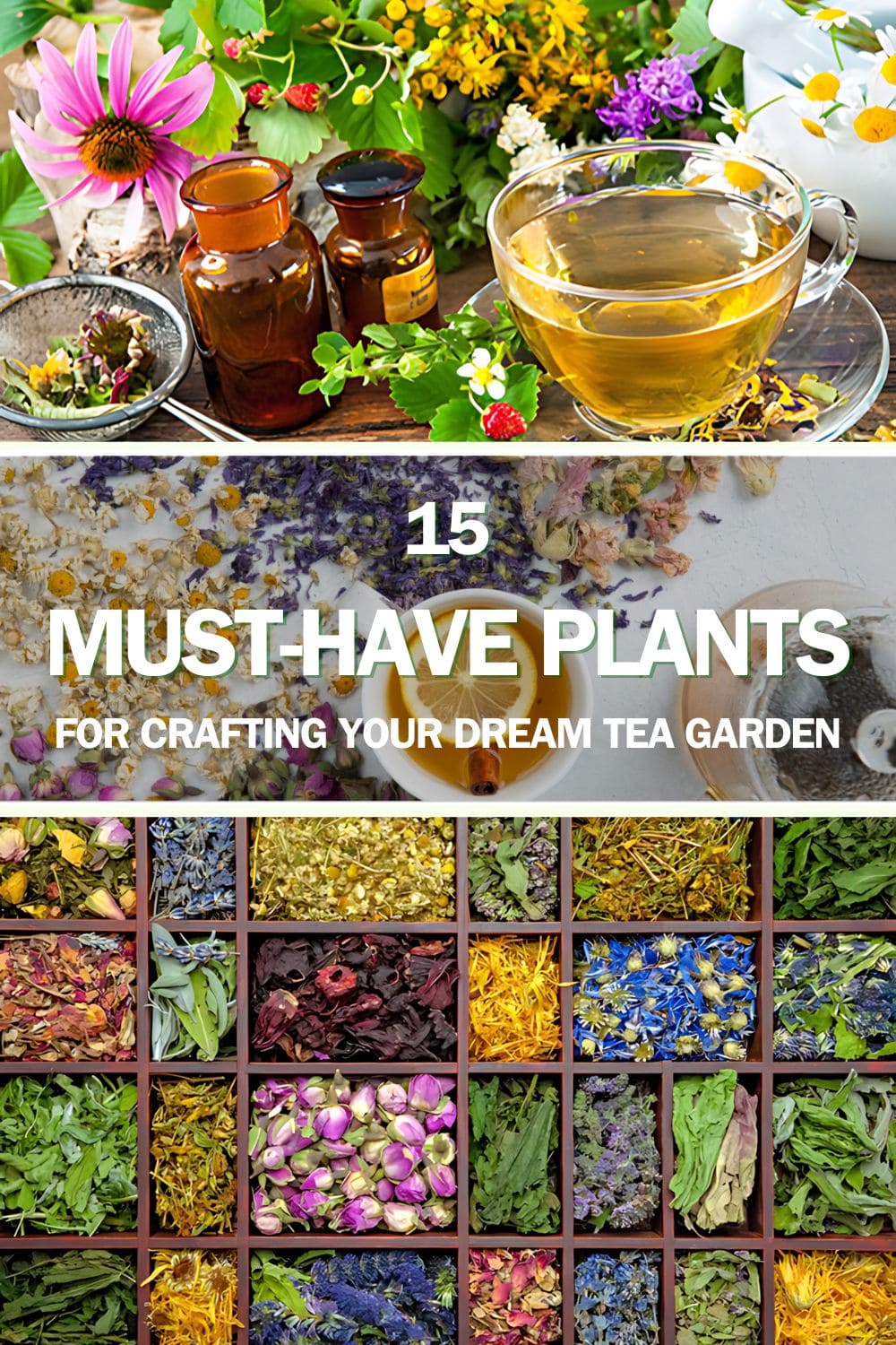 15 Must-Have Plants for Crafting Your Dream Tea Garden