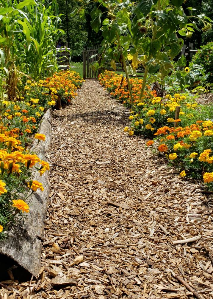 Mulch Trail Path Idea