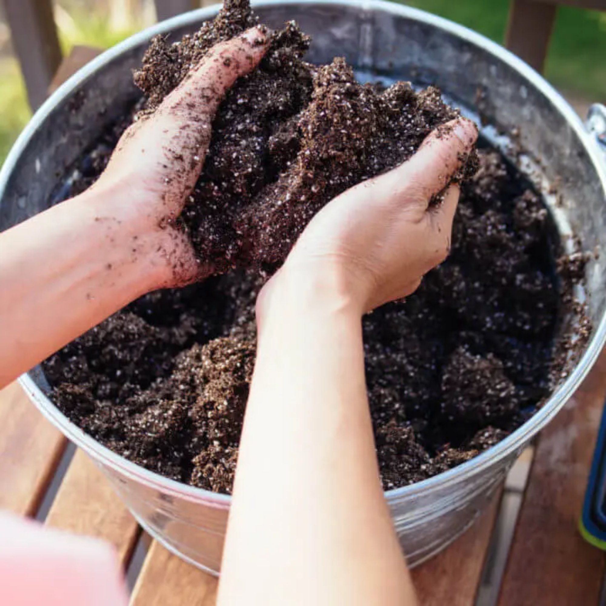 Prepare the Right Soil Mix