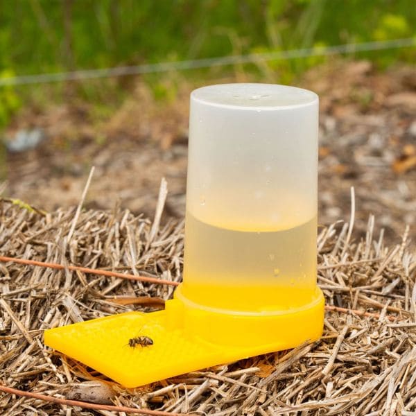 How to Make a Very Cheap Bee Waterer