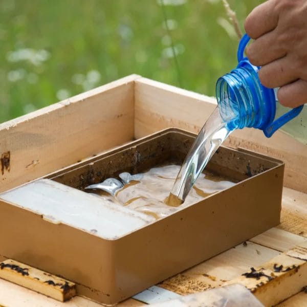 How to Make a Very Cheap Bee Waterer