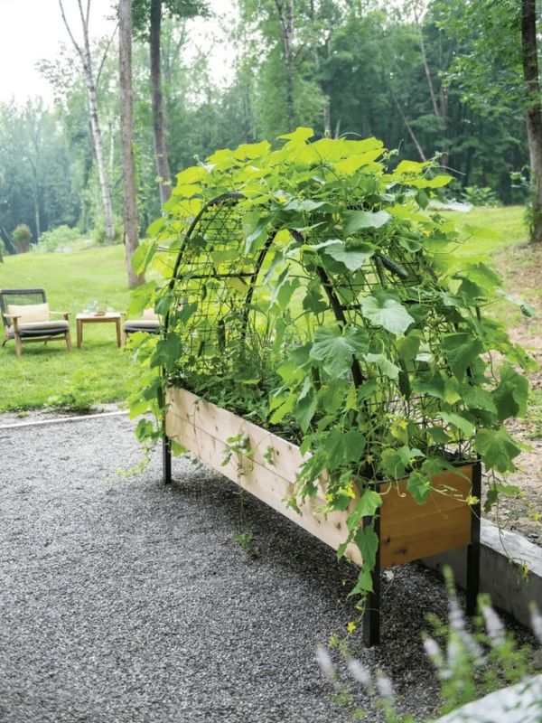 Trellis Bench