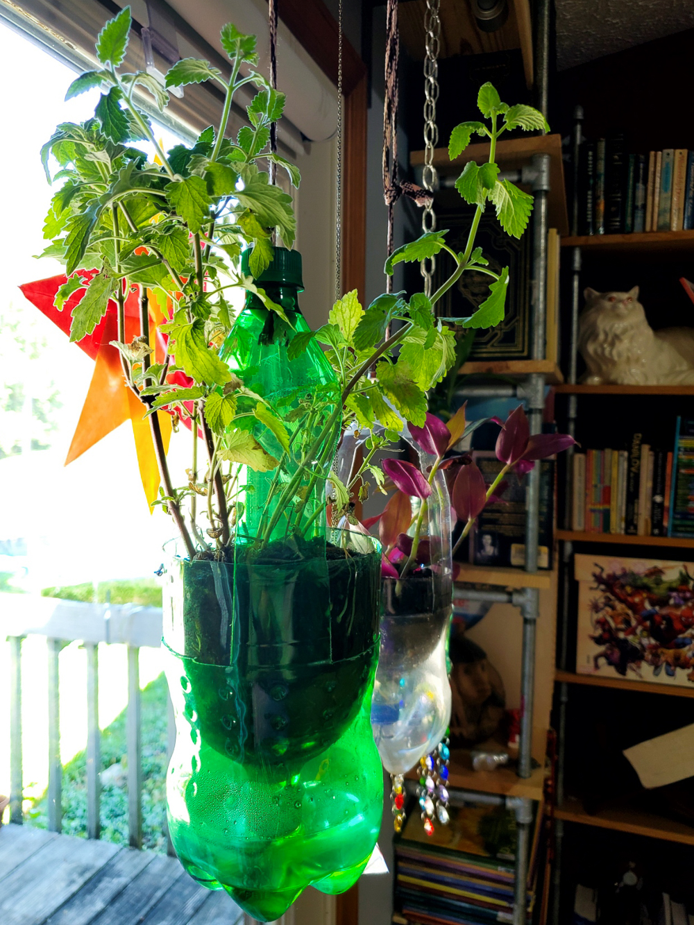 Plastic Bottle Planters