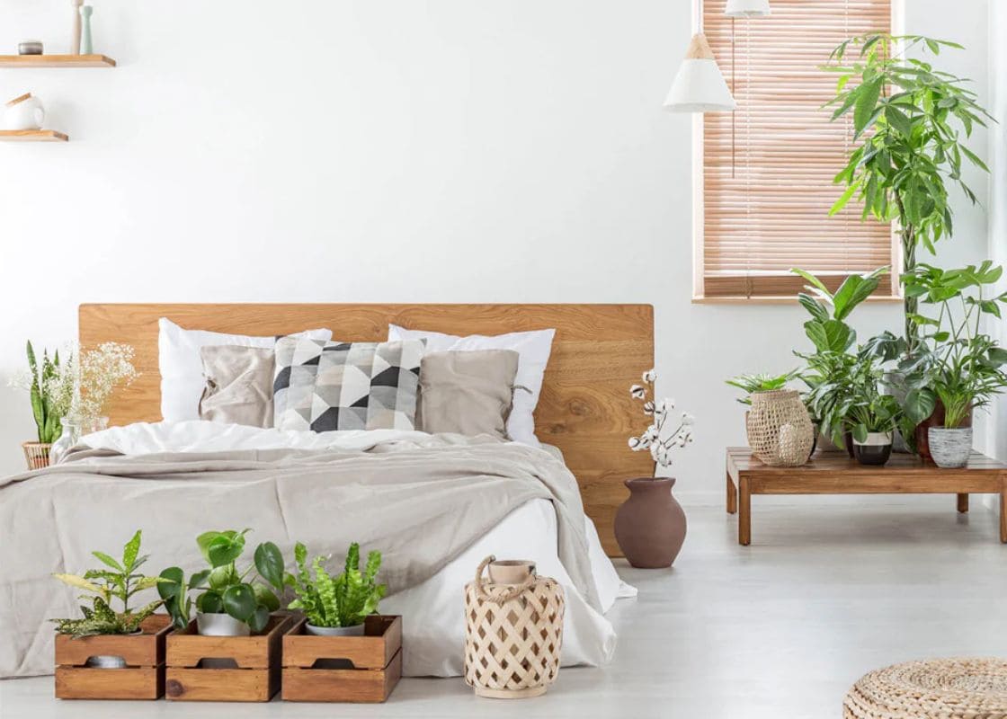 These Are The Best Healing Plants to Grow in Your Bedroom for a Healthier Indoor Space