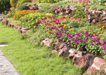 20 Groundcover Plants That Suppress Weeds