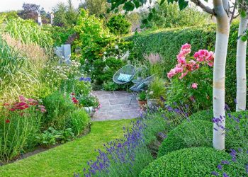20 Simple Garden Plans for Attracting Butterflies