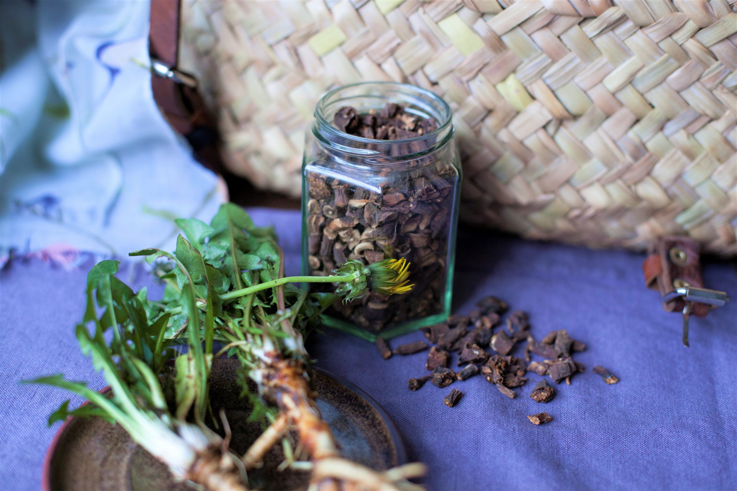 Cleaning and Drying Dandelion Roots