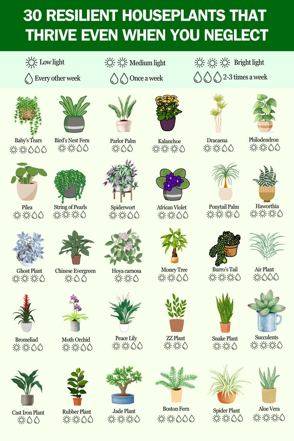 30 Resilient Houseplants That Thrive Even When You Neglect