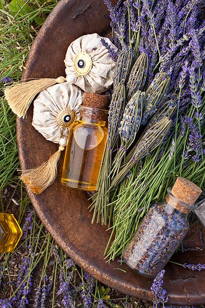 Aromatherapy Lavender