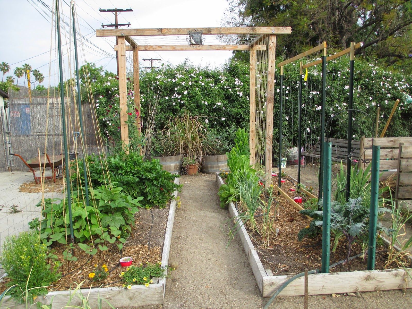 Gated Trellis