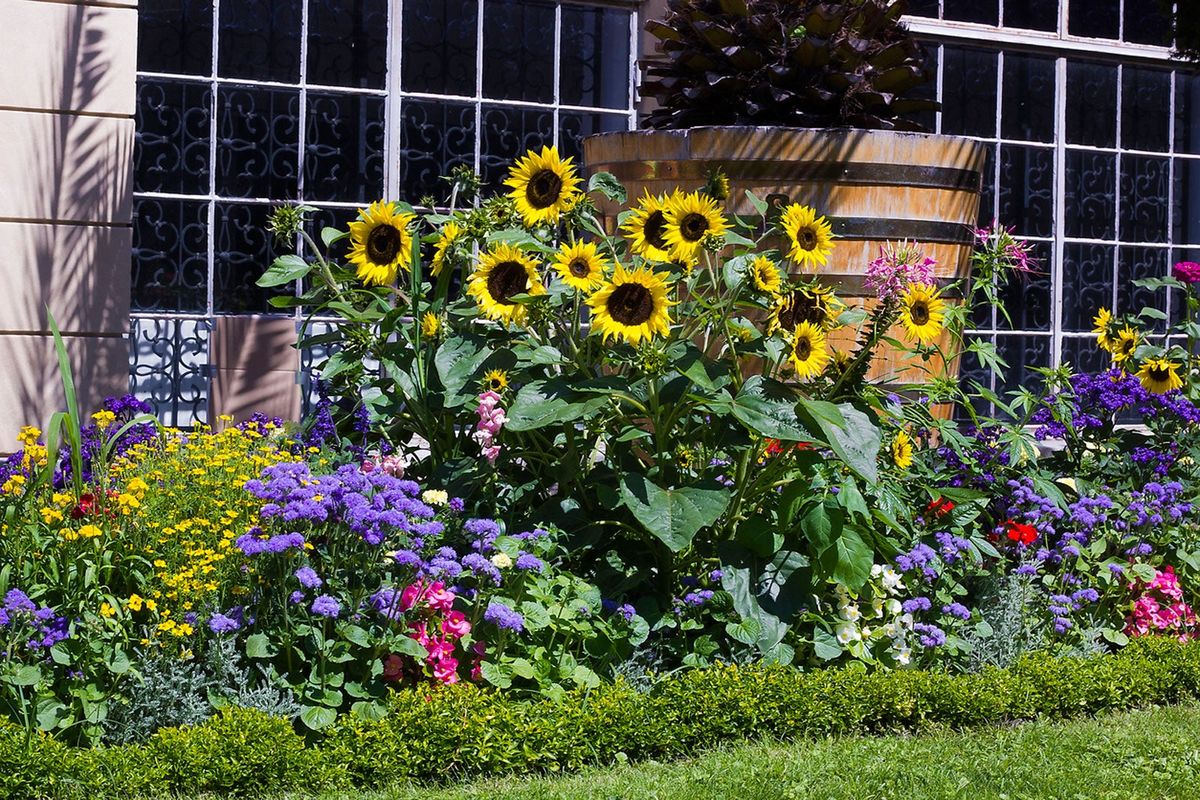 Gardening in Summer