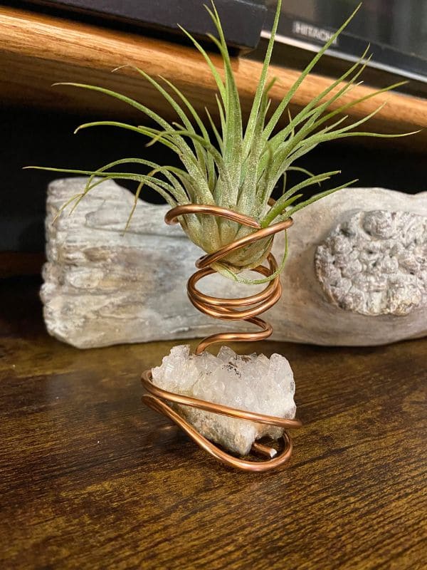 Craft Your Own Unique Wire Air Plant Holders