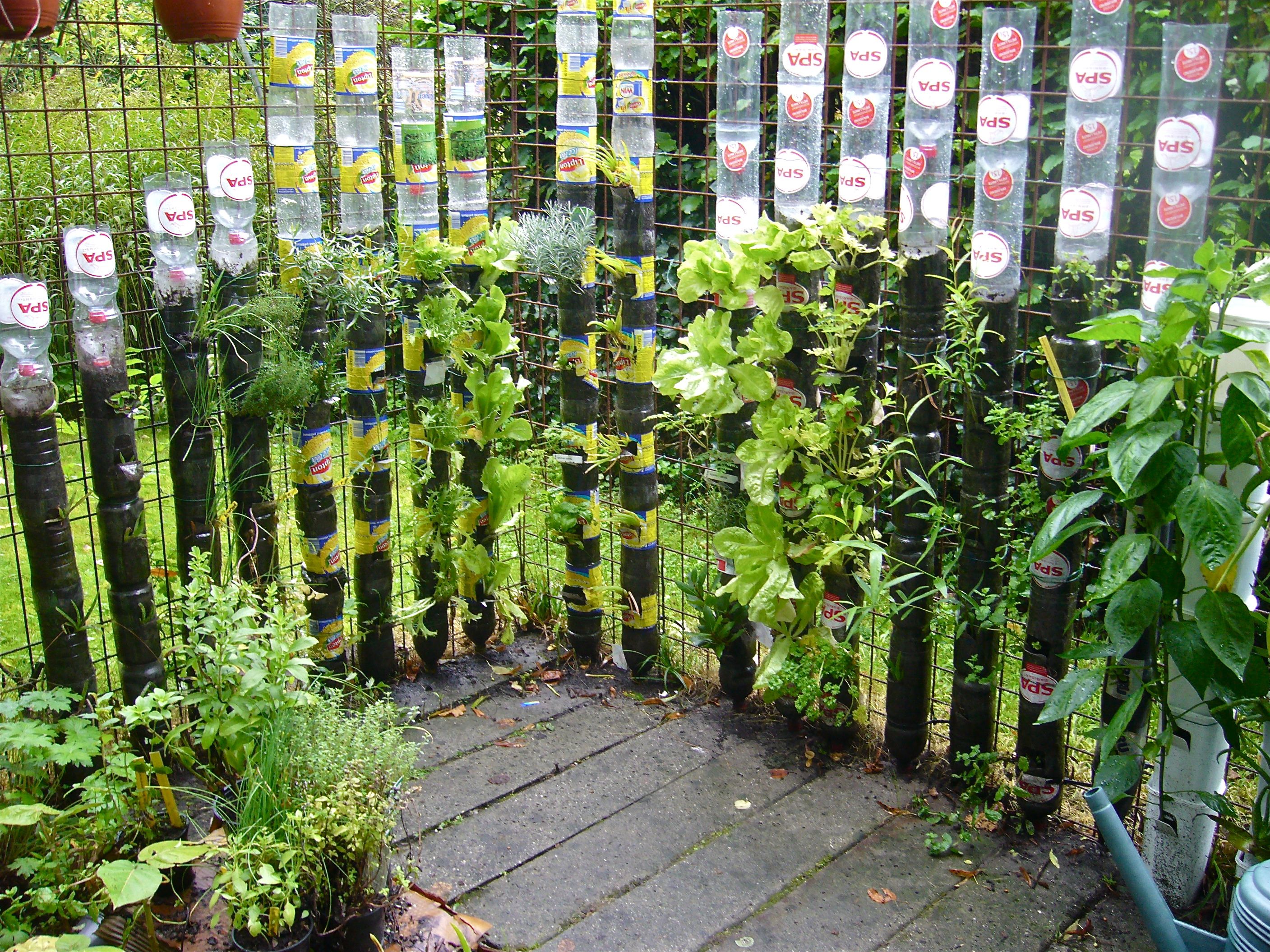 Hanging Bottle Gardens