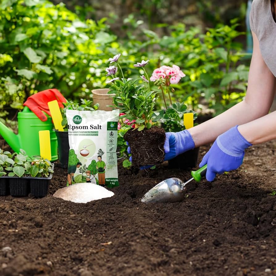 Epsom Salt for Greener Leaves