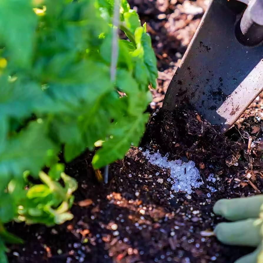 Epsom Salt Improves Soil Nutrient