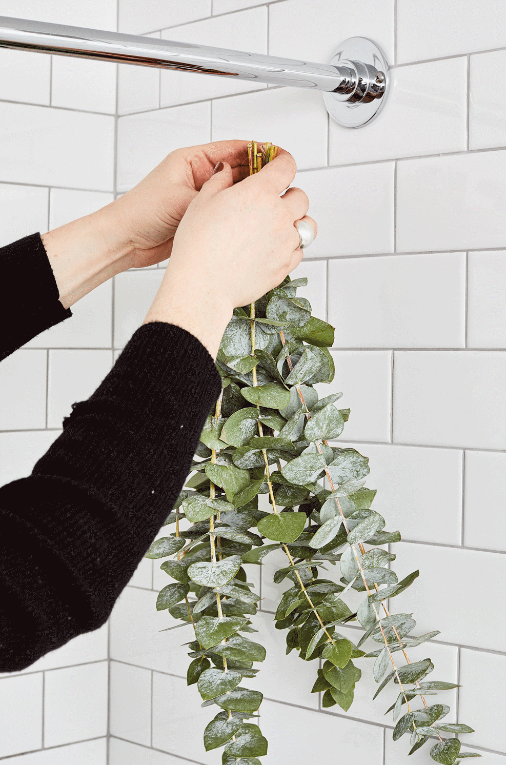 Why We Should Hang Eucalyptus in the Shower