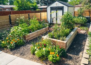 8 Ways to Arrange Plants In Your Garden