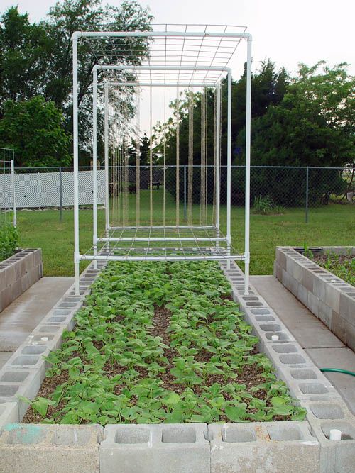 Trellises and Supports with Cinder Blocks