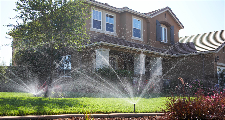 Automated Irrigation