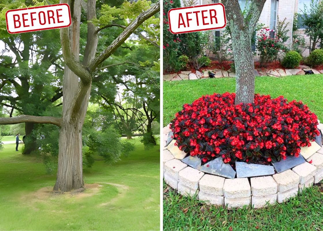 Transform Your Garden by Adding Rocks and Plants Around Tree Areas