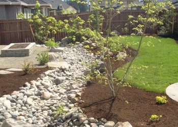 All About Dry Stream Bed