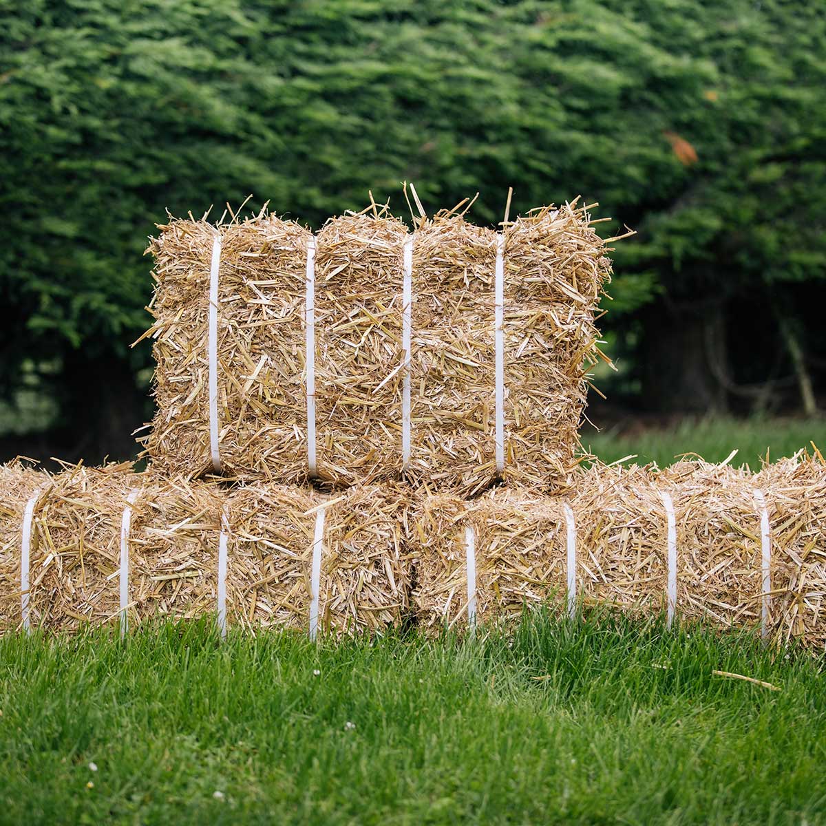 Choose Quality Bales