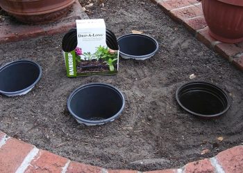 Benefits of Planting Pot-in-pot Method