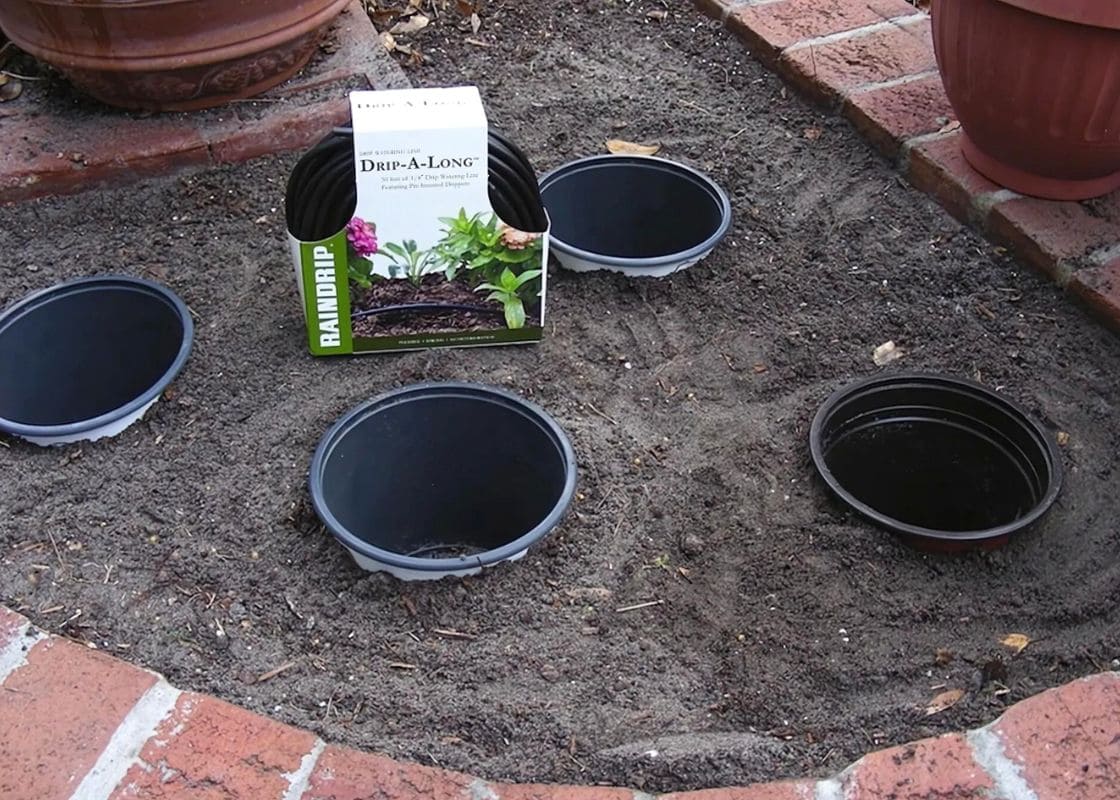 What Is Planting Pots in Pots? Here’s Why You Should Try This Technique