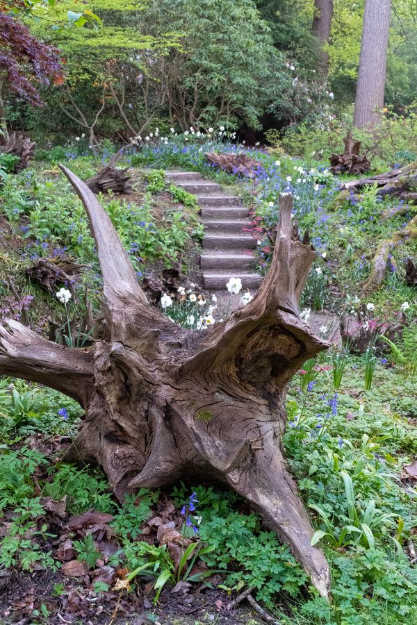 Wild Jungle Tree Stump Bed