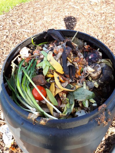 Practice Lazy Composting