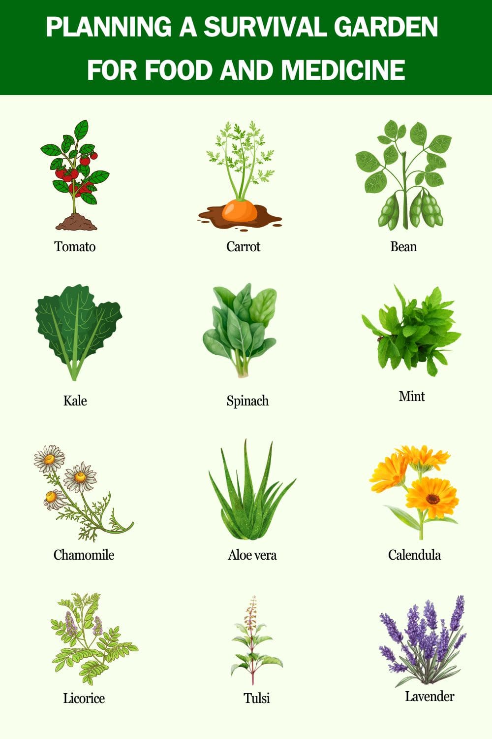 Consider Planning A Survival Garden for Food And Medicine