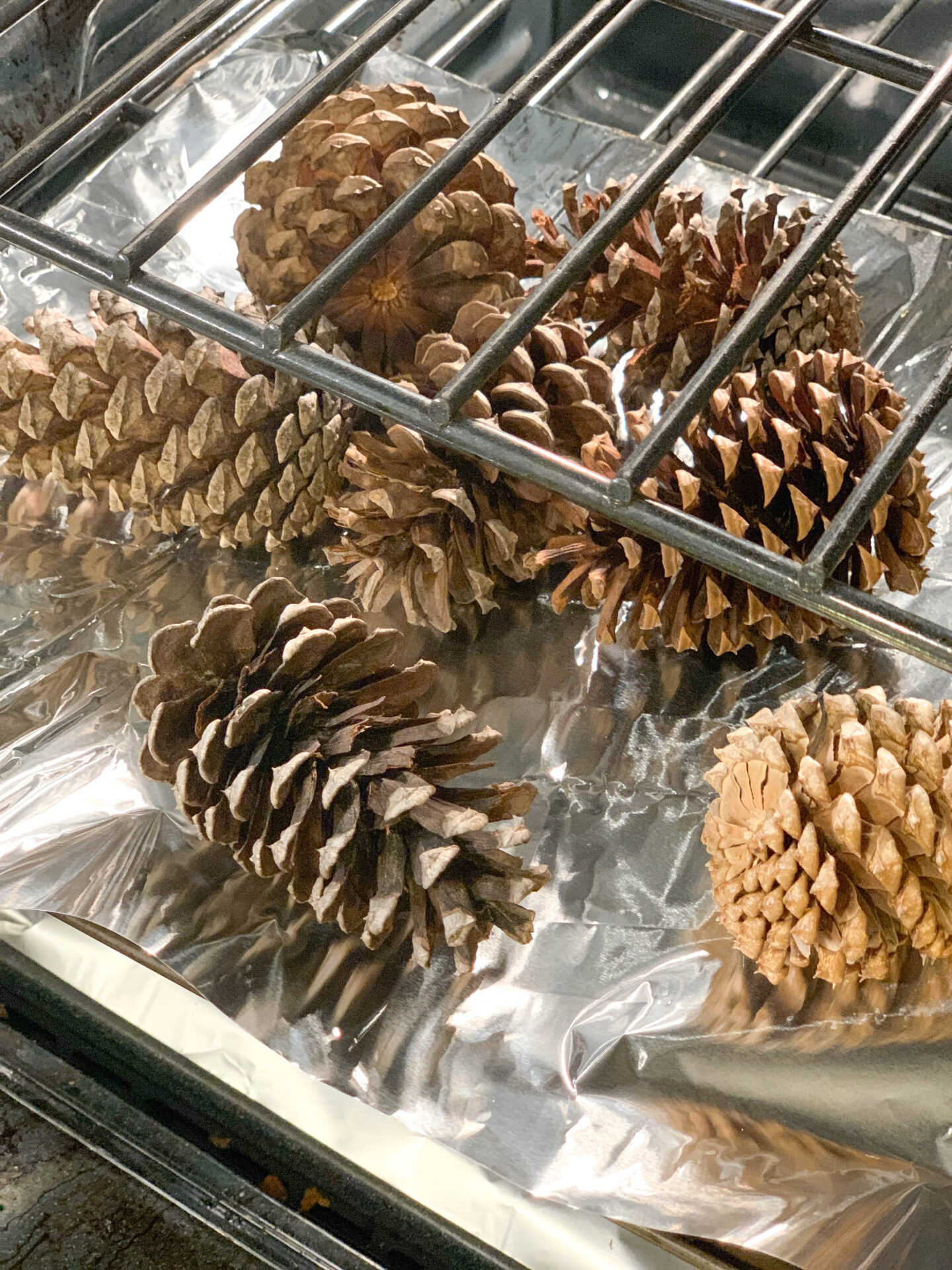 Scented Pine Cones