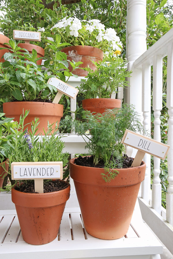 DIY Plant Labels