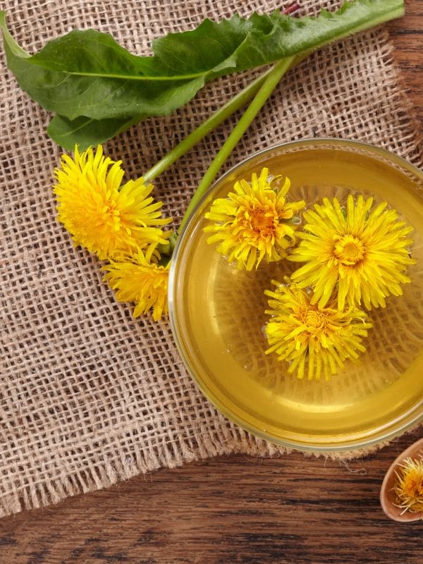 Dandelion Tea