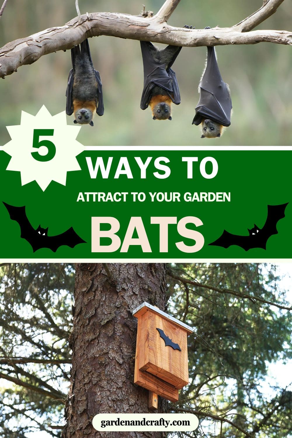 Did You Know Bat Guano Is A Great Fertilizer? Here're Ways to Attract Bats to Your Garden