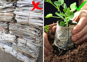Don't Throw Away Your Newspapers. Here're 8 Ways to Use Them In The Garden