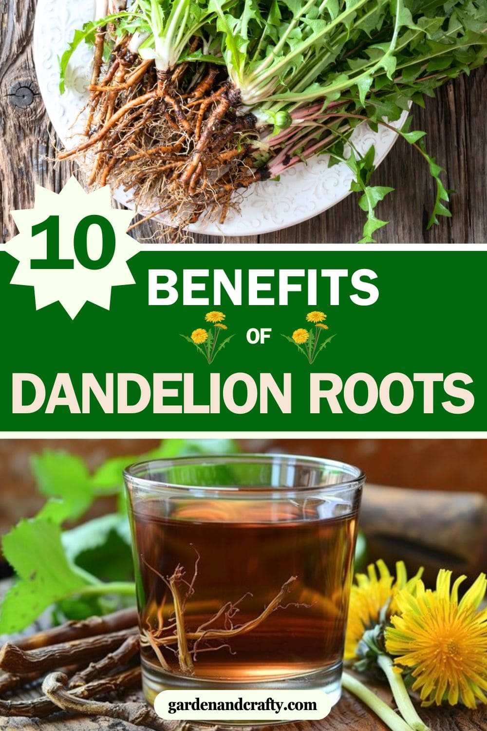 Don't Underestimate Dandelion Roots: Here's Why They're a True Treasure