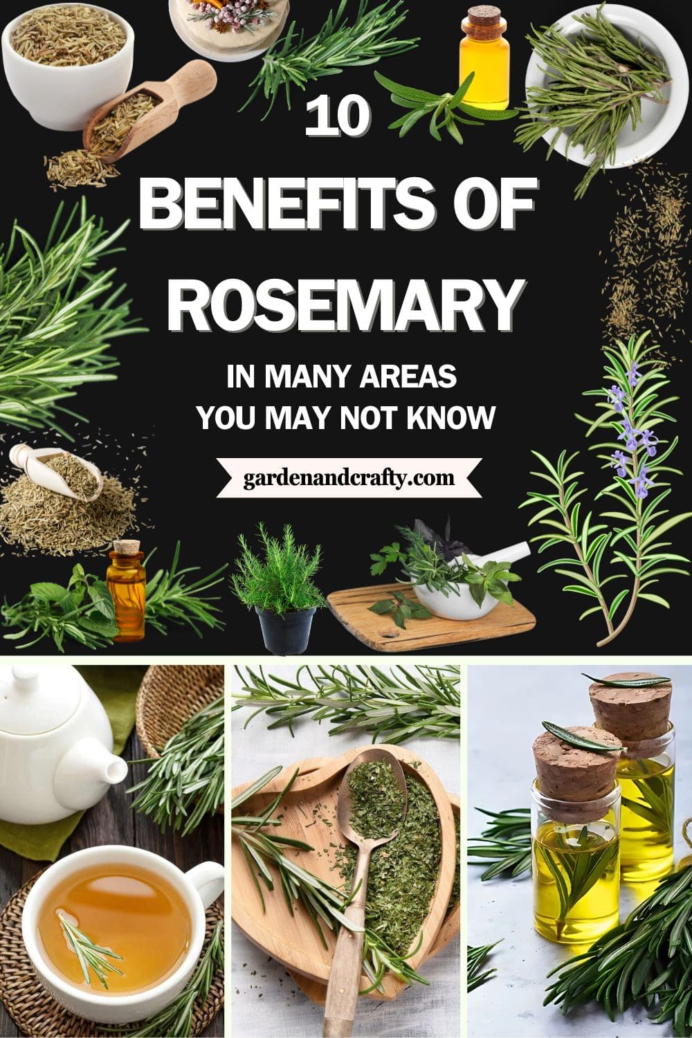 Don't Underestimate Rosemary. Its Benefits Are Greater Than You Think