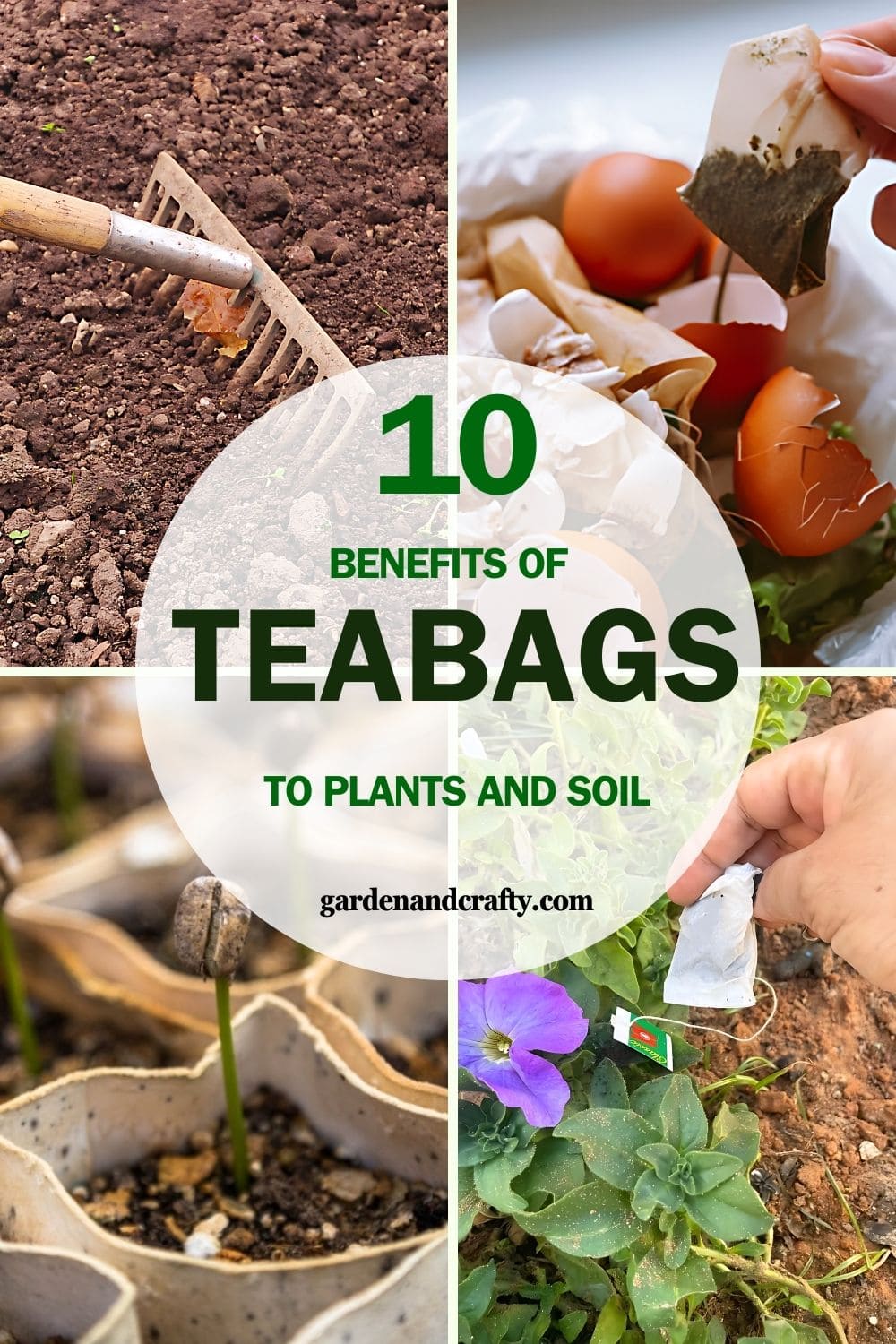 Don't Underestimate Small Teabags. Here're Why You Should Plant Them