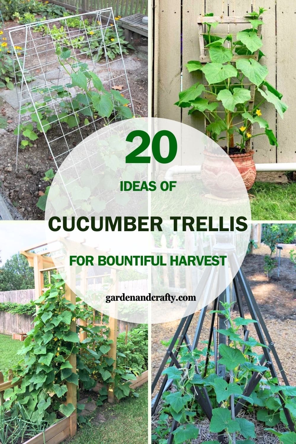 Explore 20 Cucumber Trellis Ideas for a Bountiful Harvest