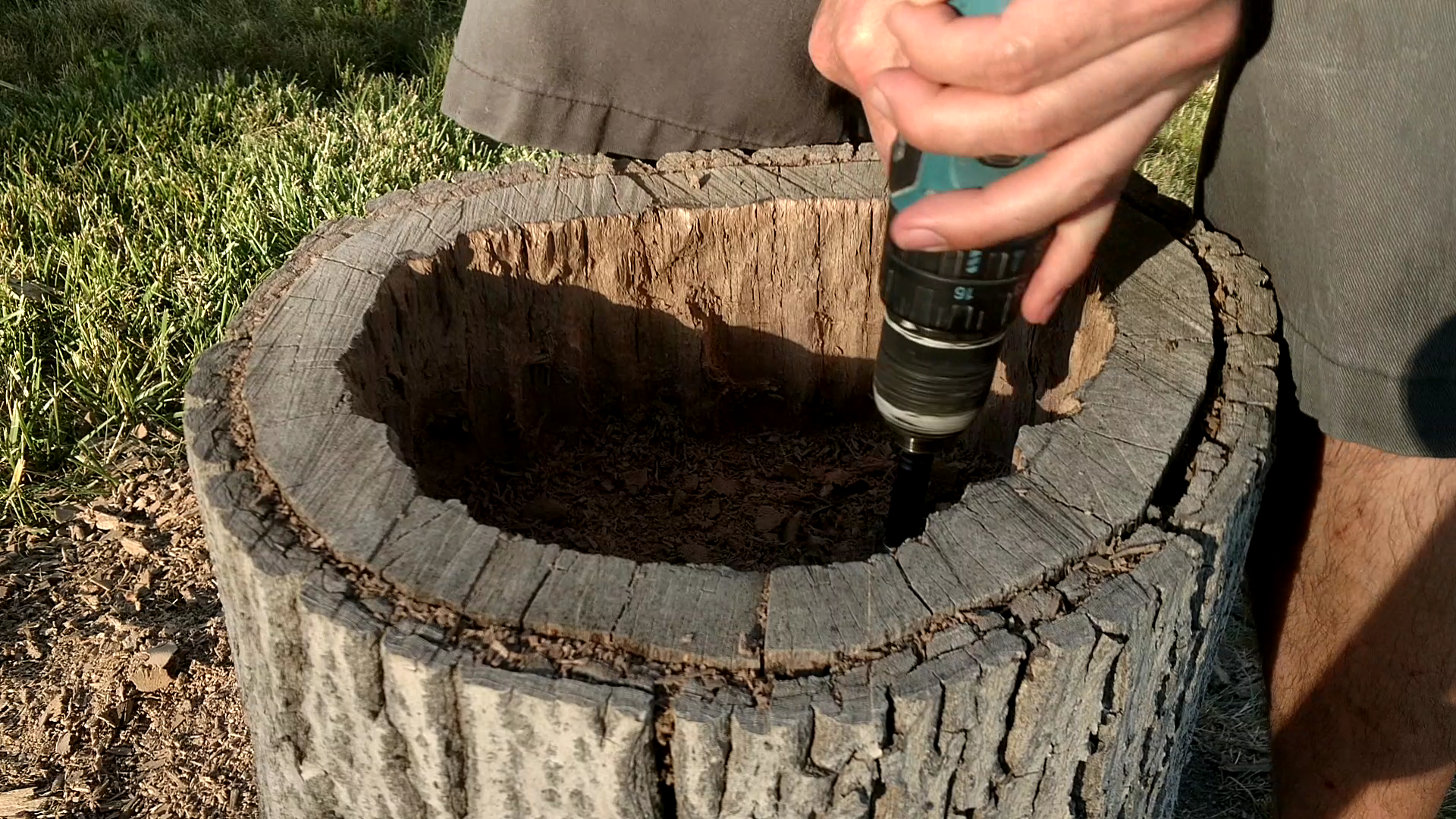 Hollowing the Stump