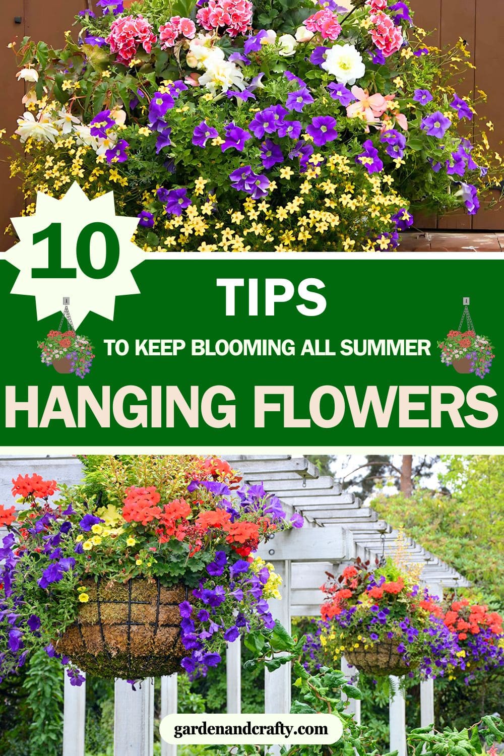 Follow These Tips to Keep Your Hanging Flowers Blooming All Summer