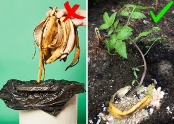Garden Hacks Every Gardener Should Know