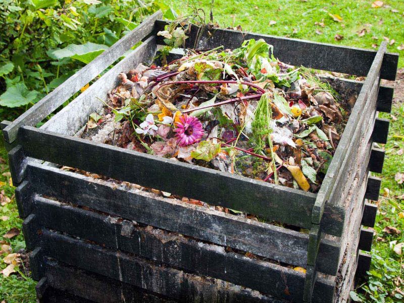 Baking Soda Deodorizes Compost and Garden Areas